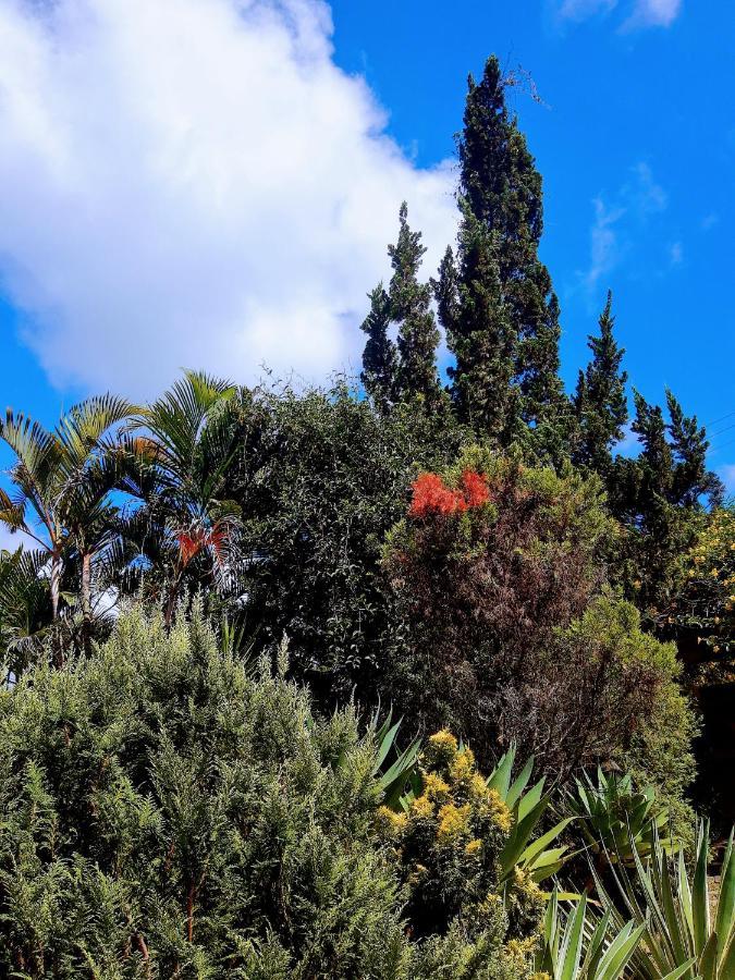 Casa Ranxoxita Ξενοδοχείο Itaipava Εξωτερικό φωτογραφία