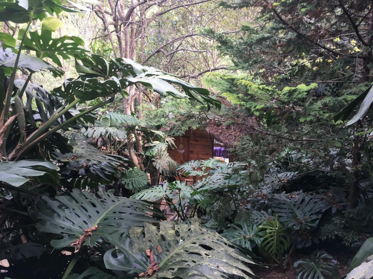 Casa Ranxoxita Ξενοδοχείο Itaipava Εξωτερικό φωτογραφία