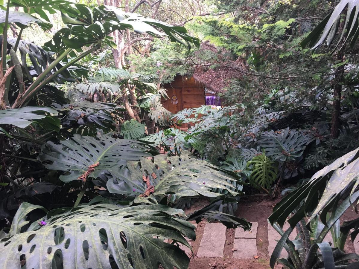 Casa Ranxoxita Ξενοδοχείο Itaipava Εξωτερικό φωτογραφία